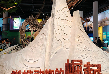 国家自然博物馆第 63 张图片