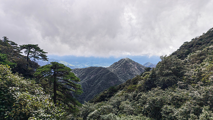 三清山风景区第 130 张图片
