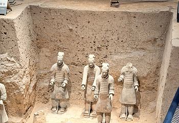 秦始皇帝陵博物院(兵马俑)第 516 张图片