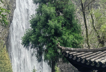 刘伯温故里景区·百丈漈第 120 张图片