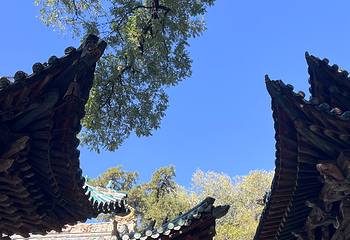 晋祠博物馆第 490 张图片
