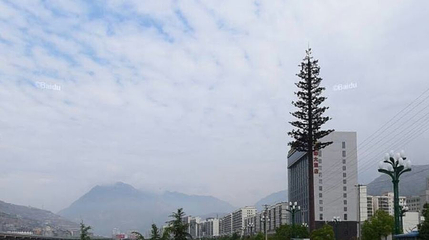 滨江生态湿地公园第 1 张图片