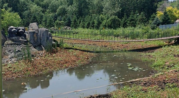 东北虎林园-荷花池