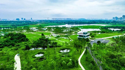 大泽湖近自然湿地公园第 1 张图片