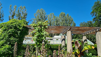 萨尔茨堡大学附属植物园