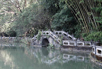 勐巴娜西珍奇园第 30 张图片