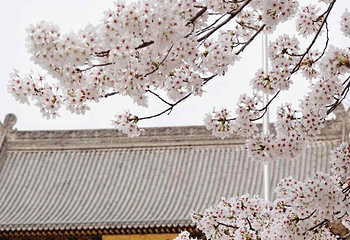香积寺第 9 张图片