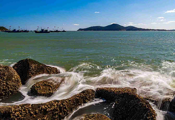 海源公园第 12 张图片