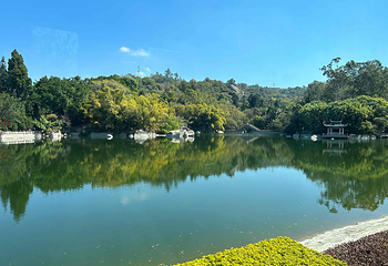 厦门园林植物园第 51 张图片