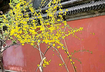 日坛公园第 87 张图片