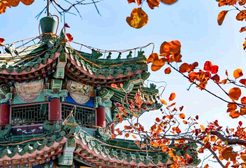 北京西山国家森林公园第 24 张图片