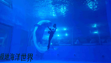 正佳极地海洋世界第 163 张图片