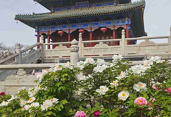 兴庆宫公园第 81 张图片
