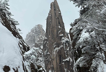 黄山风景区第 439 张图片