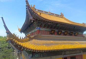 金山第 17 张图片