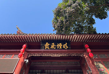 黄鹤楼第 71 张图片