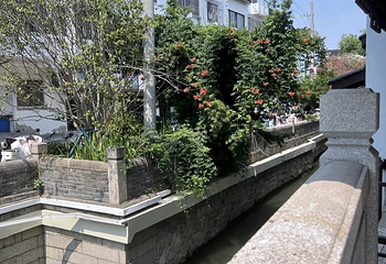 十全街第 113 张图片