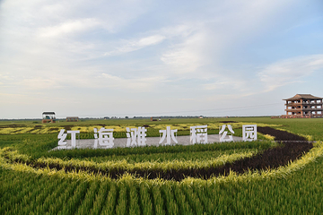 红海滩国家风景廊道第 134 张图片