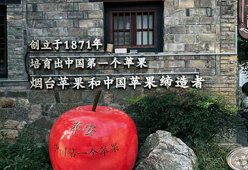 所城里第 15 张图片