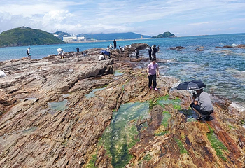盐洲岛第 23 张图片