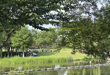 玄武湖景区第 169 张图片