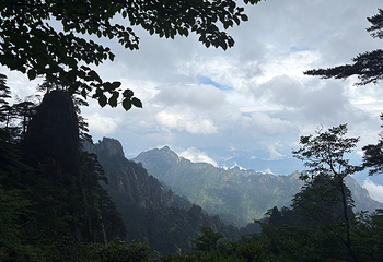 黄山风景区第 221 张图片