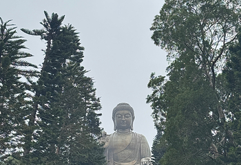 昂坪360第 227 张图片