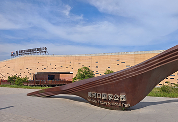 黄河口生态旅游区第 20 张图片