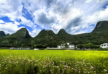 万峰林景区第 22 张图片