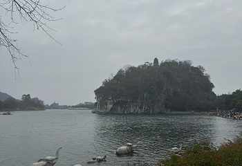 象鼻山景区第 117 张图片
