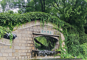 团结湖公园第 59 张图片