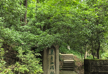 莫干山风景名胜区第 99 张图片