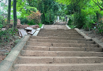 青城山第 366 张图片