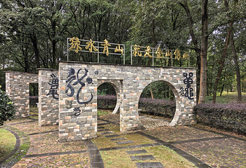 中国扬子鳄景区第 14 张图片