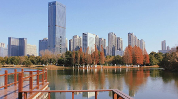 艾溪湖森林湿地公园-游船