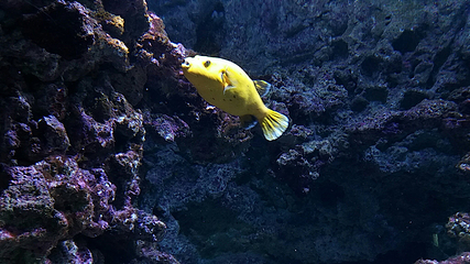 丹麦国立水族馆第 22 张图片
