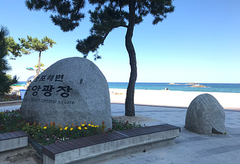 镜浦台海水浴场第 11 张图片