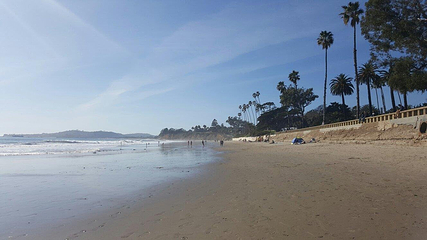 Butterfly Beach第 15 张图片