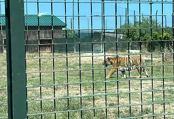Safari Ravenna第 12 张图片