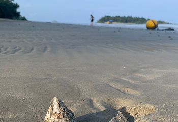 卡贝海滩第 23 张图片