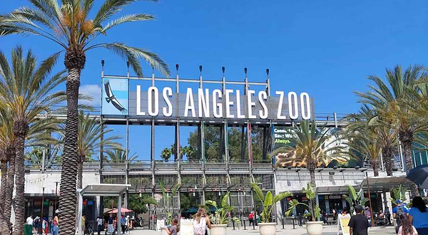 洛杉矶动物园