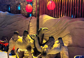 看见贺兰第 54 张图片