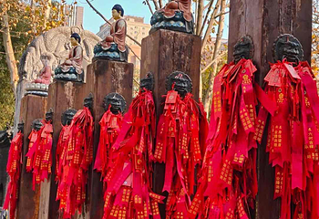 大兴善寺第 24 张图片