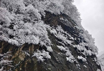 太平国家森林公园第 92 张图片
