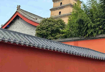 大雁塔第 96 张图片
