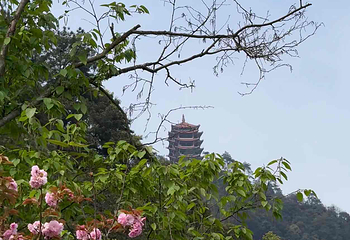 缙云山第 30 张图片