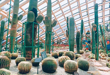 太原植物园第 23 张图片