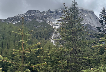四姑娘山双桥沟景区第 151 张图片