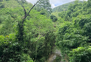 野象谷第 82 张图片