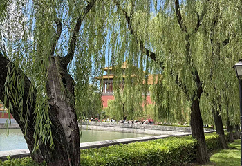 故宫博物院第 569 张图片